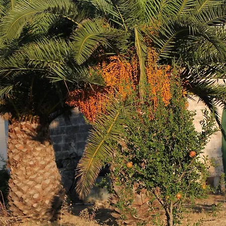 Masseria Vivi Il Salento Santa Caterina (Apulia)