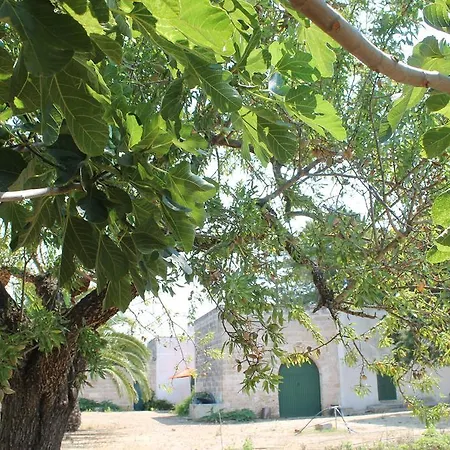 Masseria Vivi Il Salento Holiday home *