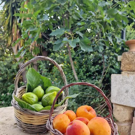 Masseria Vivi Il Salento Santa Caterina (Apulia)