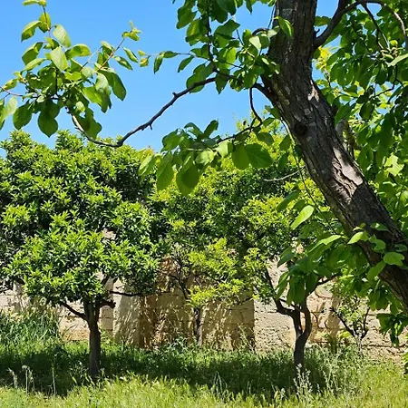 Masseria Vivi Il Salento * Santa Caterina (Apulia)