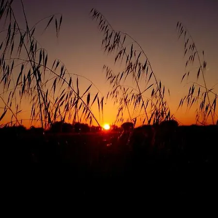 Holiday home Masseria Vivi Il Salento